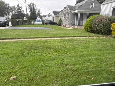 Lawn care service in York, 17406