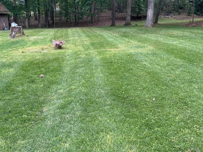 Lawn care service in Troy, 22974