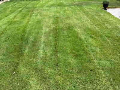 Lawn care service in El Paso, 79935