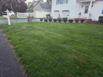 Lawn care service in Fieldsboro, 08505