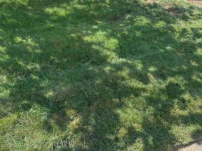 Lawn care service in Middletown, 06457