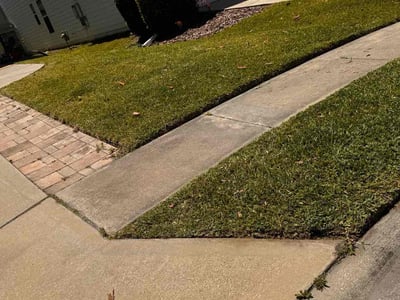 Lawn care service in Ponte Vedra Beach, 32081