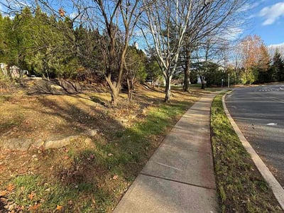 Lawn care service in Greenwich Township, 08886