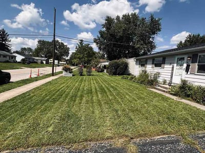 Lawn care service in Westerville, 43081