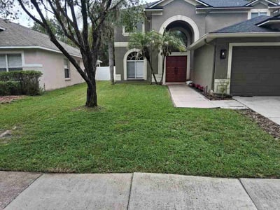 Lawn care service in Tampa, 33647