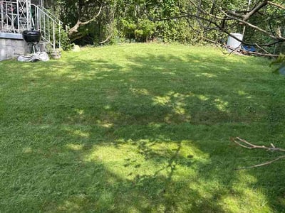 Lawn care service in Pittsburgh, 15219