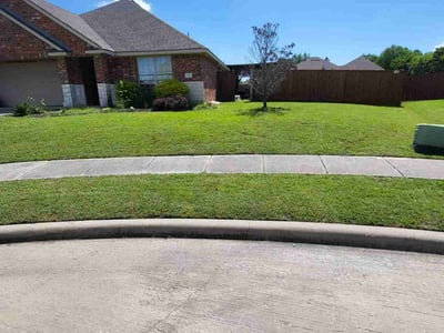 Lawn care service in Wylie, 75407
