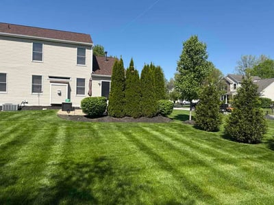 Lawn care service in Pickerington, 43147