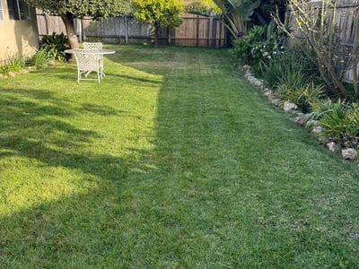 Lawn care service in Santa Monica, 90405