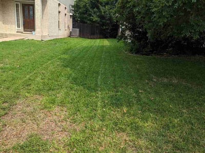 Lawn care service in Austin, 78748