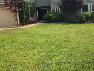 Lawn care service in Winston, 30187