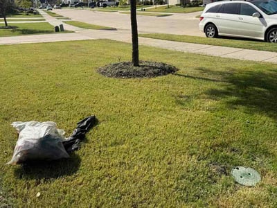 Lawn care service in McKinney, 75071