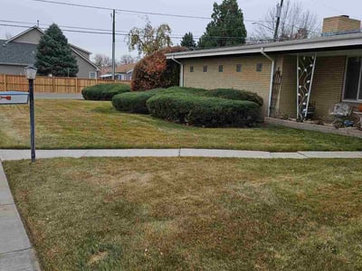 Lawn care service in Wheat Ridge, 80033