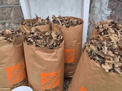 Lawn care service in Boston, 02130