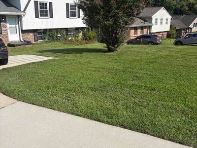 Lawn care service in Ellenwood, 30294