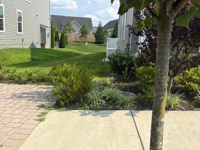 Lawn care service in Odenton, 21113