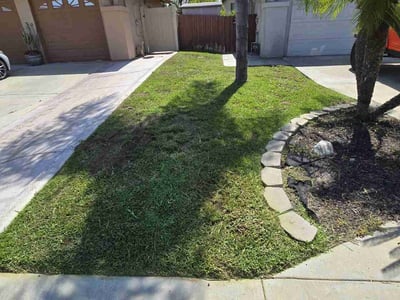 Lawn care service in Lakeside, 92040
