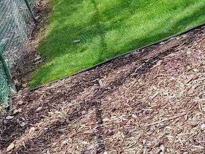 Lawn care service in Depew, 14043