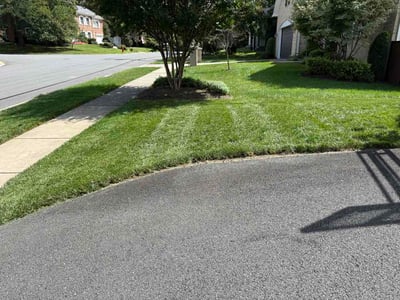 Lawn care service in Vienna, 22180
