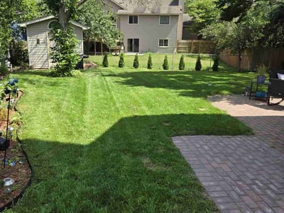 Lawn care service in Coon Rapids, 55433