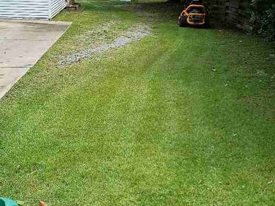 Lawn care service in Warner Robins, 31093