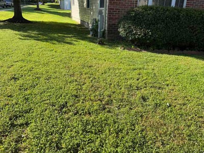 Lawn care service in Abingdon, 21009