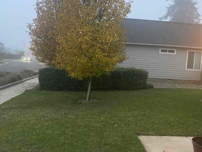 Lawn care service in Eugene, 97404