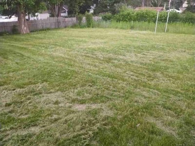 Lawn care service in Saint Paul, 55117