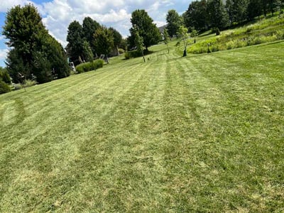 Lawn care service in Galena, 43021