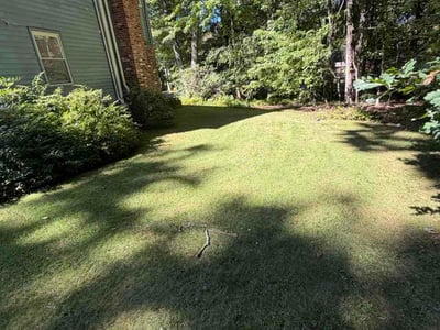 Lawn care service in Burlington, 06013