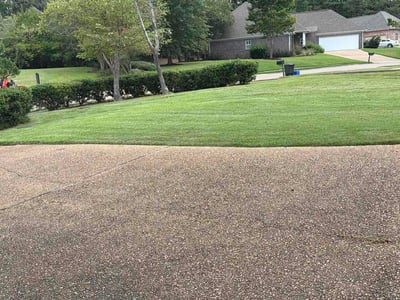 Lawn care service in Madison, 39110