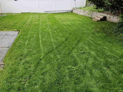 Lawn care service in Waldwick, 07463