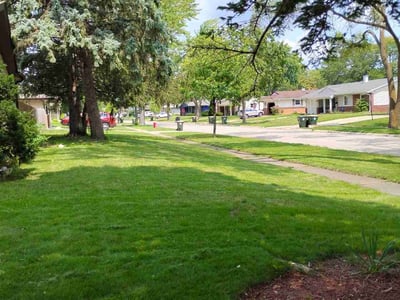 Lawn care service in Elk Grove Village, 60007