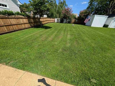 Lawn care service in Fredericksburg, 22401