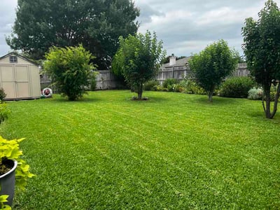 Lawn care service in Arlington, 76002
