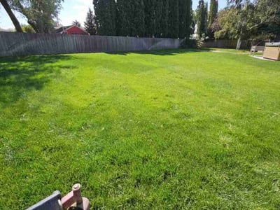 Lawn care service in Boise, 83709