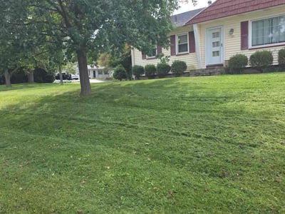 Lawn care service in Rochester, 14616