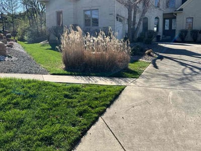 Lawn care service in Louisville, 40245