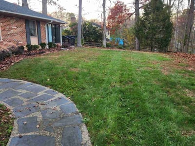 Lawn care service in , 