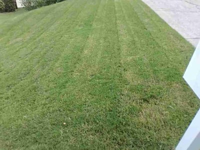 Lawn care service in Peachtree City, 30269