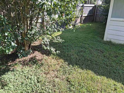 Lawn care service in Bryan, 77801