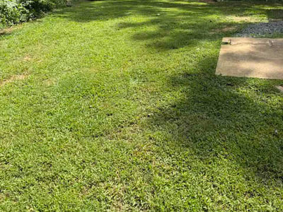Lawn care service in Asheville, 28803