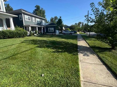 Lawn care service in Bethesda, 20817