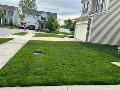 Lawn care service in Redford Charter Township, 48239