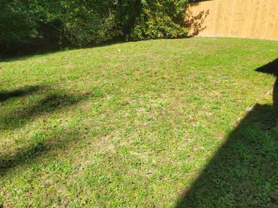 Lawn care service in Raleigh, 27610