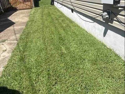 Lawn care service in Norfolk, 23503