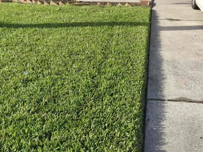 Lawn care service in Houston, 77073
