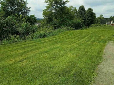 Lawn care service in Latrobe, 15650