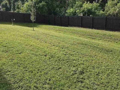 Lawn care service in Deltona, 32725