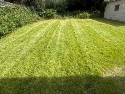 Lawn care service in St. Louis, 63133